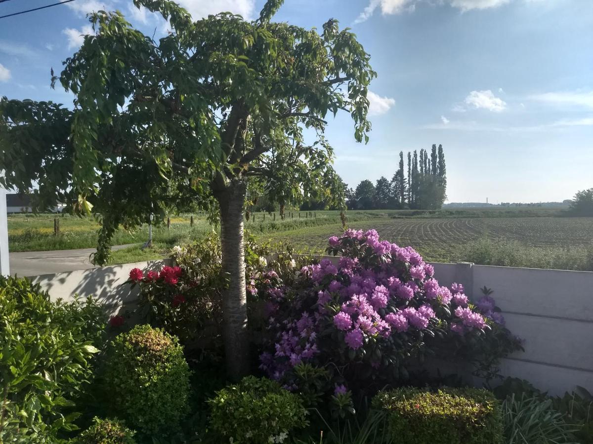 Dhofstede Vakantiewoning Oudenaarde Exteriör bild
